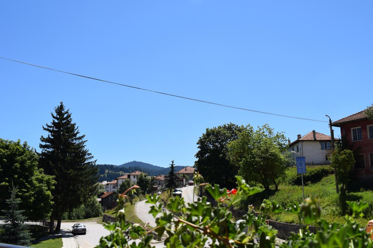 Hotel Complex Pele Zmeitsa Esterno foto
