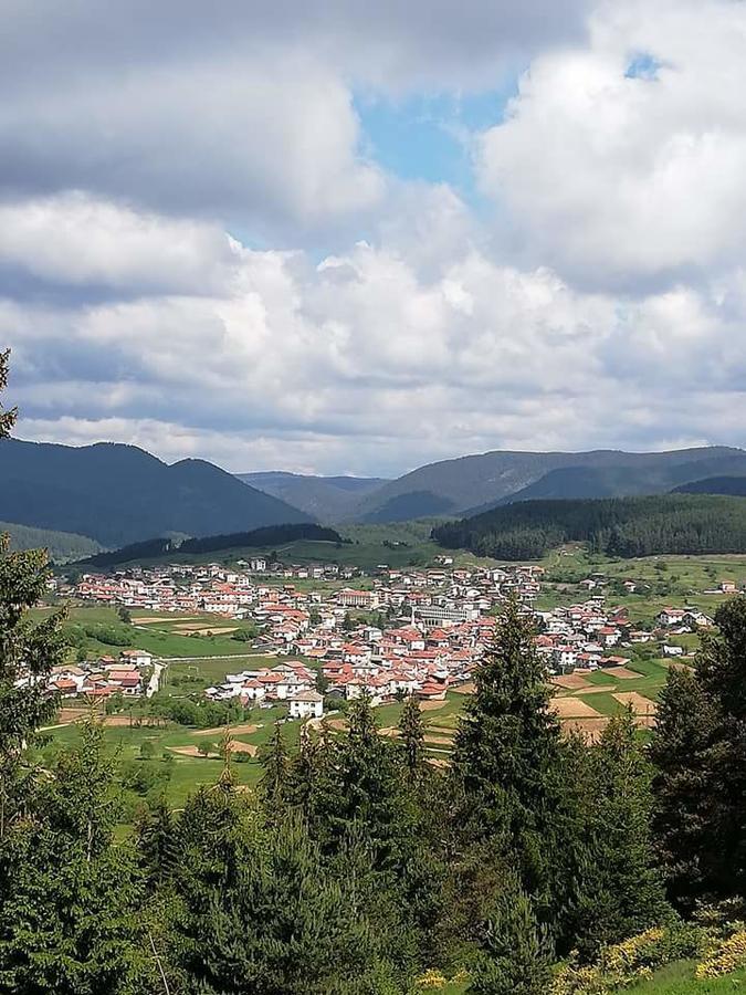 Hotel Complex Pele Zmeitsa Esterno foto