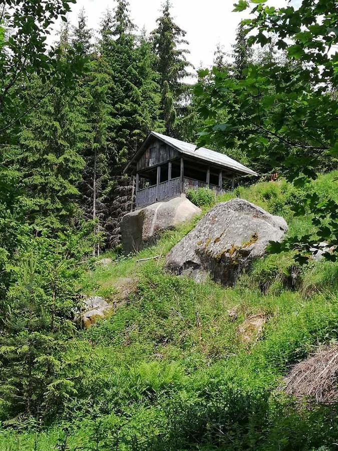 Hotel Complex Pele Zmeitsa Esterno foto